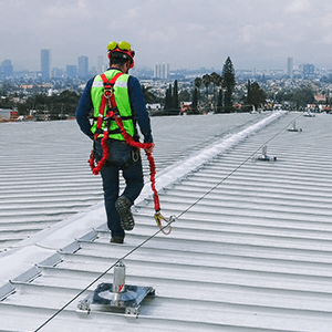 Social media image 6